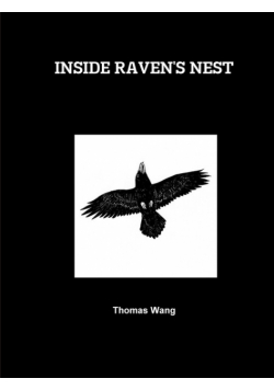 Inside Raven's Nest
