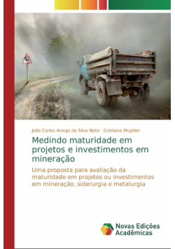 Medindo maturidade em projetos e investimentos em mineração