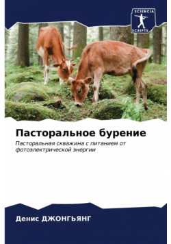 Пасторальное бурение