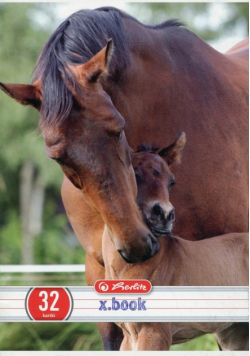 Zeszyt x.book w trzy linie dwukolorowe 32 kartki Animals 10 sztuk