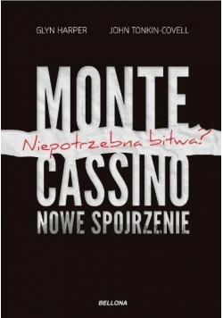 Monte Cassino nowe spojrzenie