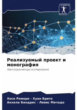Реализуемый проект и монография