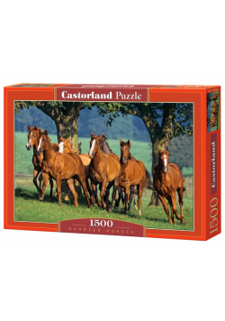 Puzzle Quarter Horses 1500
