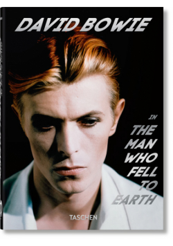 David Bowie The Man Who Fell to Earth