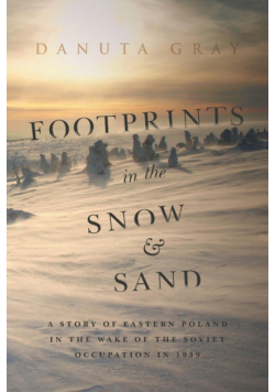 Footprints in The Snow and Sand
