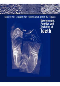Development, Function and Evolution of Teeth