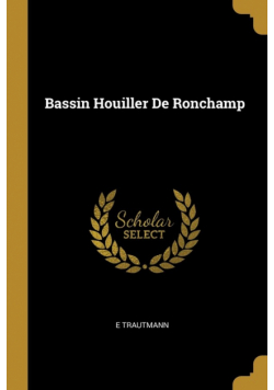 Bassin Houiller De Ronchamp