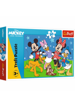 Puzzle Mysie sprawy 30