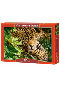 Puzzle At Rest 1000