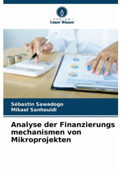 Analyse der Finanzierungs mechanismen von Mikroprojekten