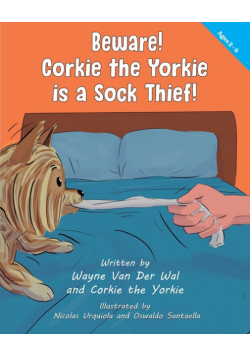 Beware! Corkie the Yorkie is a Sock Thief!