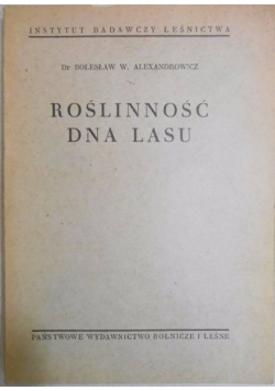 Roślinność dna lasu