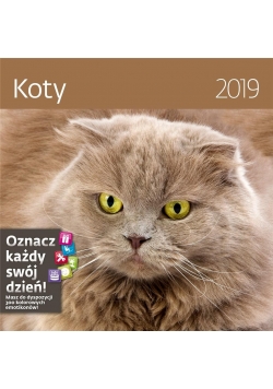 Kalendarz 2019 30x30 Koty HELMA