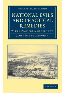 National Evils and Practical Remedies