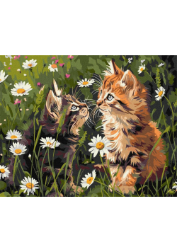 Malowanie po numerach - Koty w kwiatach 40x50cm