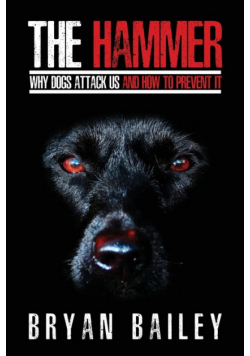 The Hammer