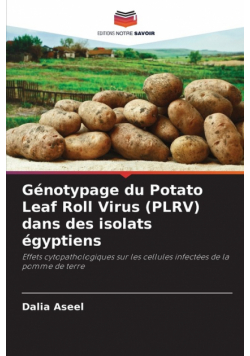Génotypage du Potato Leaf Roll Virus (PLRV) dans des isolats égyptiens