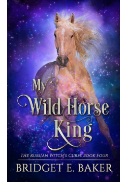 My Wild Horse King