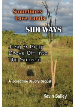 Sometimes Love Lands Sideways