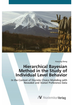 Hierarchical Bayesian Method in the Study of Individual Level Behavior
