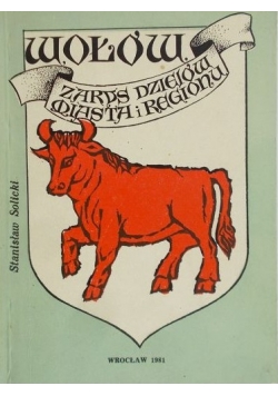 Wołów. Zarys dziejów miasta i regionu