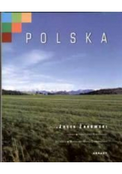 Polska wersja angielska