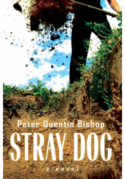 Stray Dog