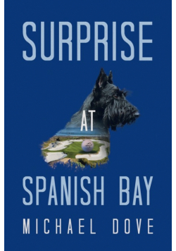 Surprise at Spanish Bay
