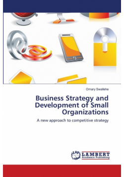 Business Strategy and Development of Small Organizations