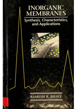 Inorganic Membranes Synthesis Characte