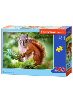 Puzzle Pine Squirrel 260