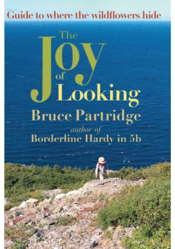 The Joy of Looking