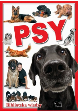 Psy