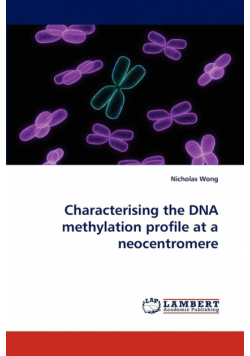 Characterising the DNA Methylation Profile at a Neocentromere