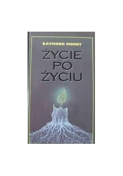 Życie po życiu