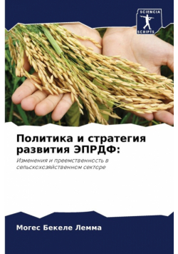 Политика и стратегия развития ЭПРДФ