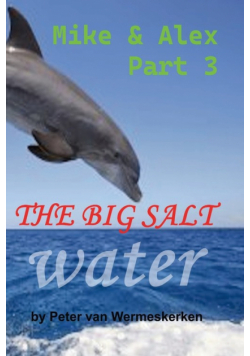 The Big Salt Water
