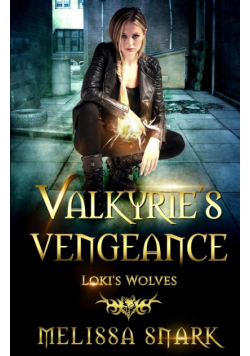Valkyrie's Vengeance