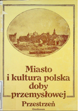 Miasto i kultura polska doby przemysłowej Przestrzeń
