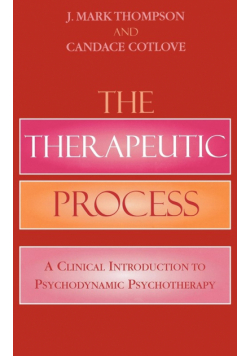 The Therapeutic Process