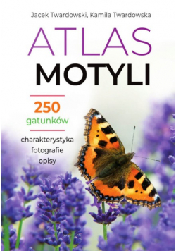 Atlas motyli