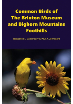 Common Birds of The Brinton Museum and Bighorn Mountains Foothills