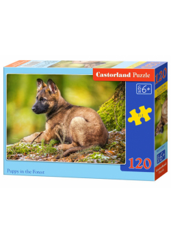 Puzzle Puppy in the Forest 120