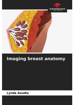 Imaging breast anatomy