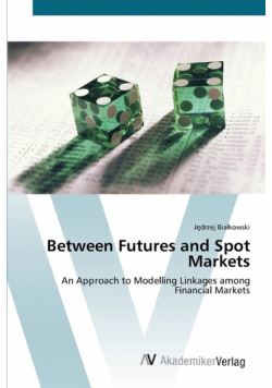 Between Futures and Spot Markets