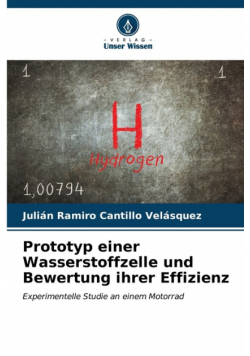 Prototyp einer Wasserstoffzelle und Bewertung ihrer Effizienz