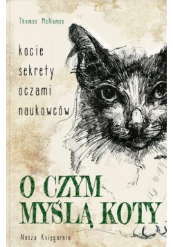 O czym myślą koty Kocie sekrety oczami naukowców