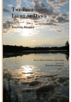 The Blue Light of Dawn