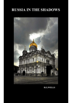 Russia in the Shadows (Hardback)
