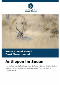 Antilopen im Sudan